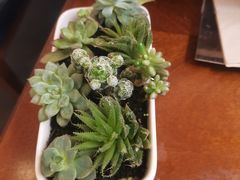 -山也·私厨(岳麓店)
