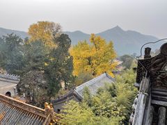 -潭柘寺景区