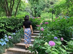 -常州古运河南大街文化旅游区-人民公园