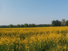 -汉长安城未央宫国家考古遗址公园