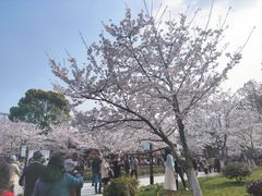 -堤角公园