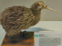 -国家自然博物馆