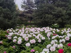 -太阳宫公园