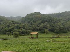 -大水川景区