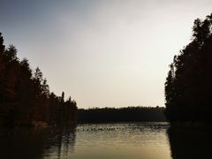 -上海海湾国家森林公园