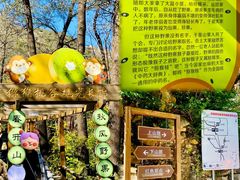 -大岭沟猕猴桃谷风景区