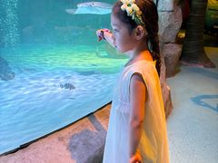 -沈阳海洋探索中心