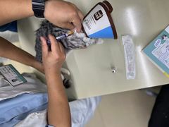 -瑞派动物医院·猫专科·至诚(江南中分院)