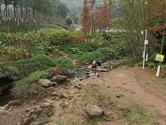 -重庆彩云湖湿地公园