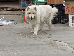 -西北农副产品中心批发市场(广安路店)