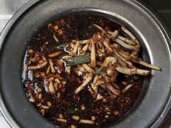 -杨记烤肉老店