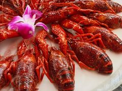 -京悦南门涮羊肉·羊蝎子火锅(田林路店)