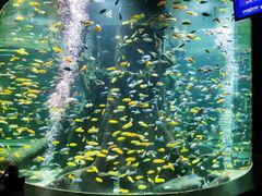 -合肥海洋世界