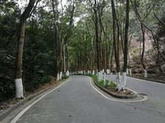 -火炉山森林公园