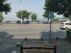 -野菌皇海景野生菌火锅(滨海大道店)