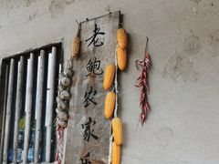 -老鲍农家乐