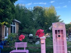 -丽泽山庄·生态怀柔菜·虹鳟鱼(红螺寺店)