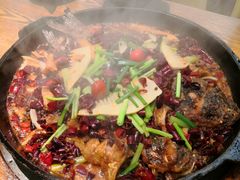 -老板恋上鱼(恒隆广场店)