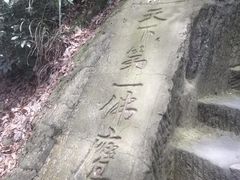 -大金鹰园