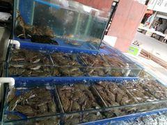 -江杨农产品批发市场