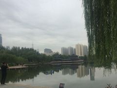 -雁滩公园
