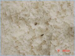 iphone_upload_pic-盛京一禾