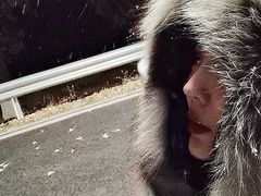 -MONCLER(北京SKP概念店)