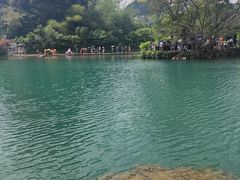 -靖西鹅泉风景区
