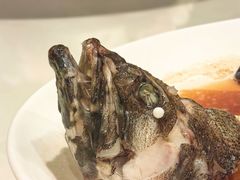 -利苑酒家(华熙国际店)