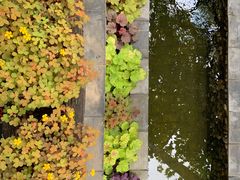 -炊烟餐厅