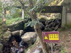 -藏龙百瀑风景区