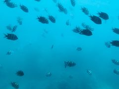 -亚龙湾海底世界