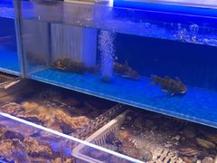 -同庆楼(天鹅酒家店)