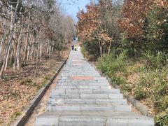 -冶父山国家森林公园