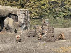 -宁波野生动物园