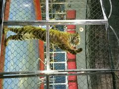 -西安秦岭野生动物园