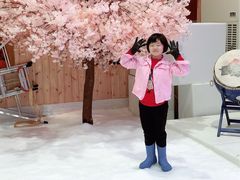 -Mr·Kuma酷么先生雪之乐园