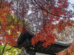 -无锡惠山寺
