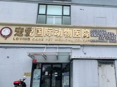 -宠爱国际动物医院·疑难骨科·心肾内科·皮肤科(太阳宫店)