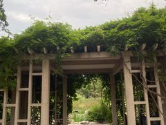 -国家植物园南园