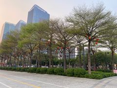 -文华公园(禅城区)