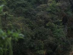 -苍山感通索道