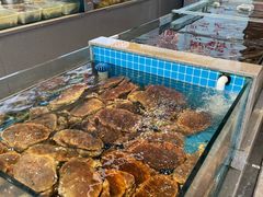 -大锅强·蒸海鲜青岛菜(城市阳台店)
