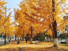 -四川大学(江安校区)