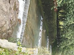 -广州白江湖森林公园