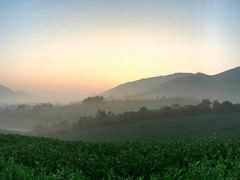 -帐篷客·溪龙茶谷度假酒店