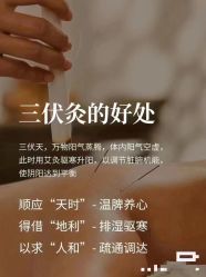 点击看大图 -YESIDO椰岛美容