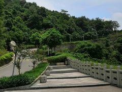 -火炉山森林公园