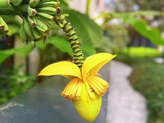 -丝绸小镇荻港古村