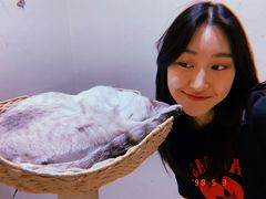 -藏猫猫咖啡主题馆(中央大道店)